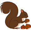 Nuts-Squirrel