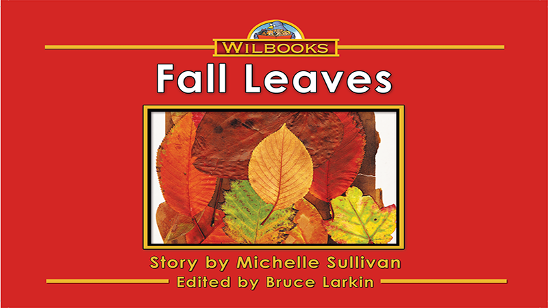 3162-DL8X Fall Leaves_Page_01